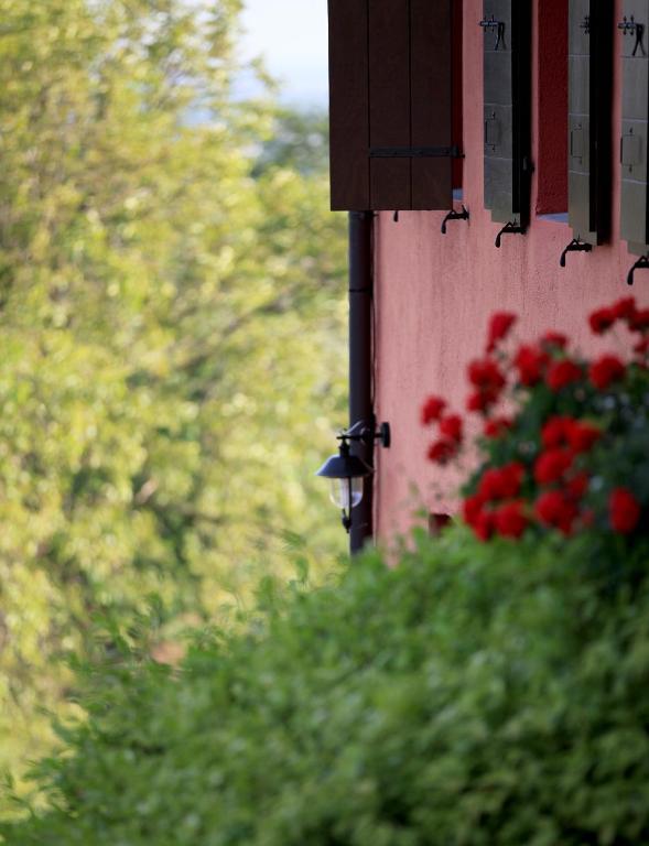 Agriturismo Casa Rossa Ai Colli Ragogna Eksteriør bilde